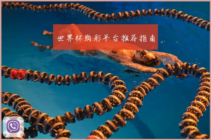 世界杯购彩平台推荐指南