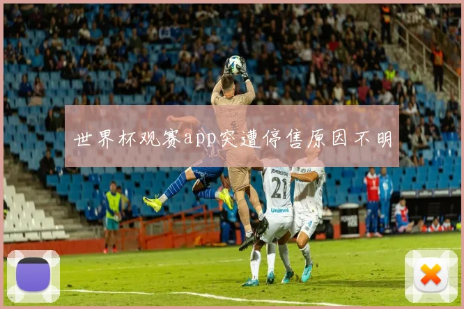 世界杯观赛app突遭停售原因不明